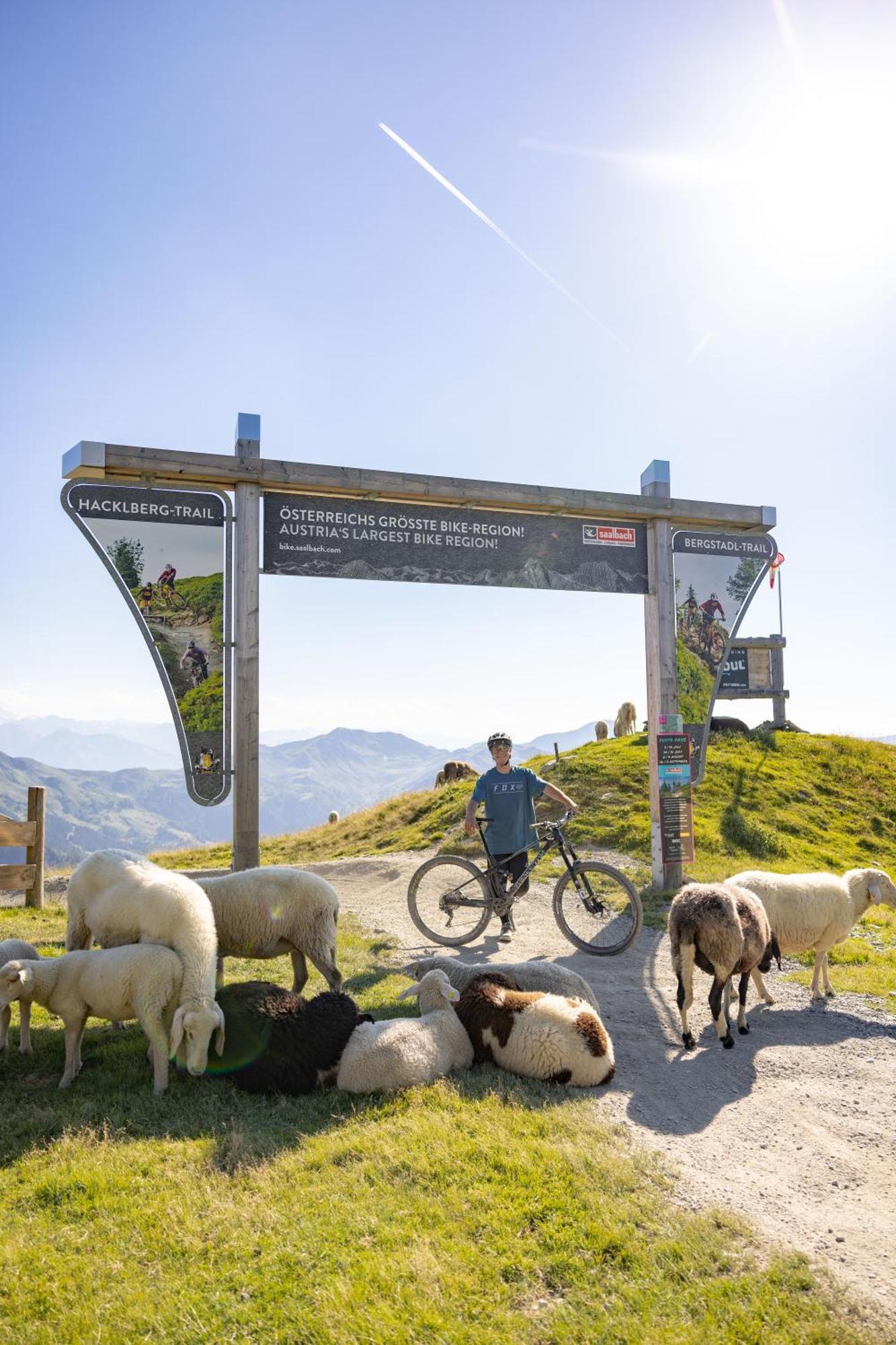 Landhaus Saalbach - Joker Card Included In Summer ภายนอก รูปภาพ